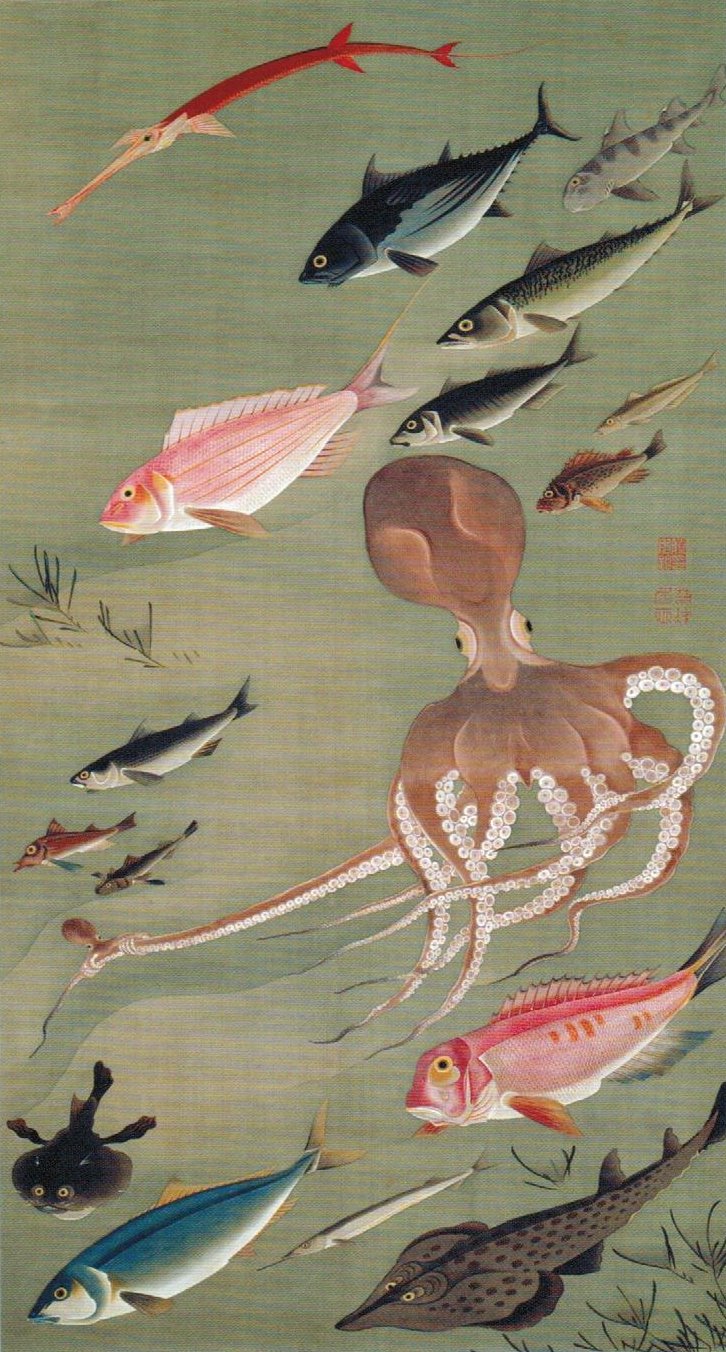 “群魚図 ‐ 蛸（ぐんぎょず - たこ）