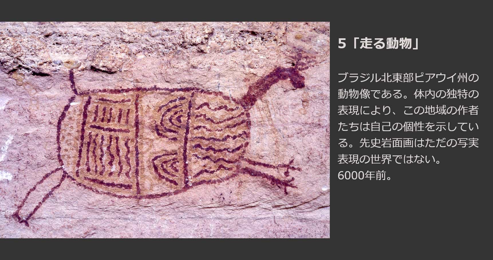 走る動物