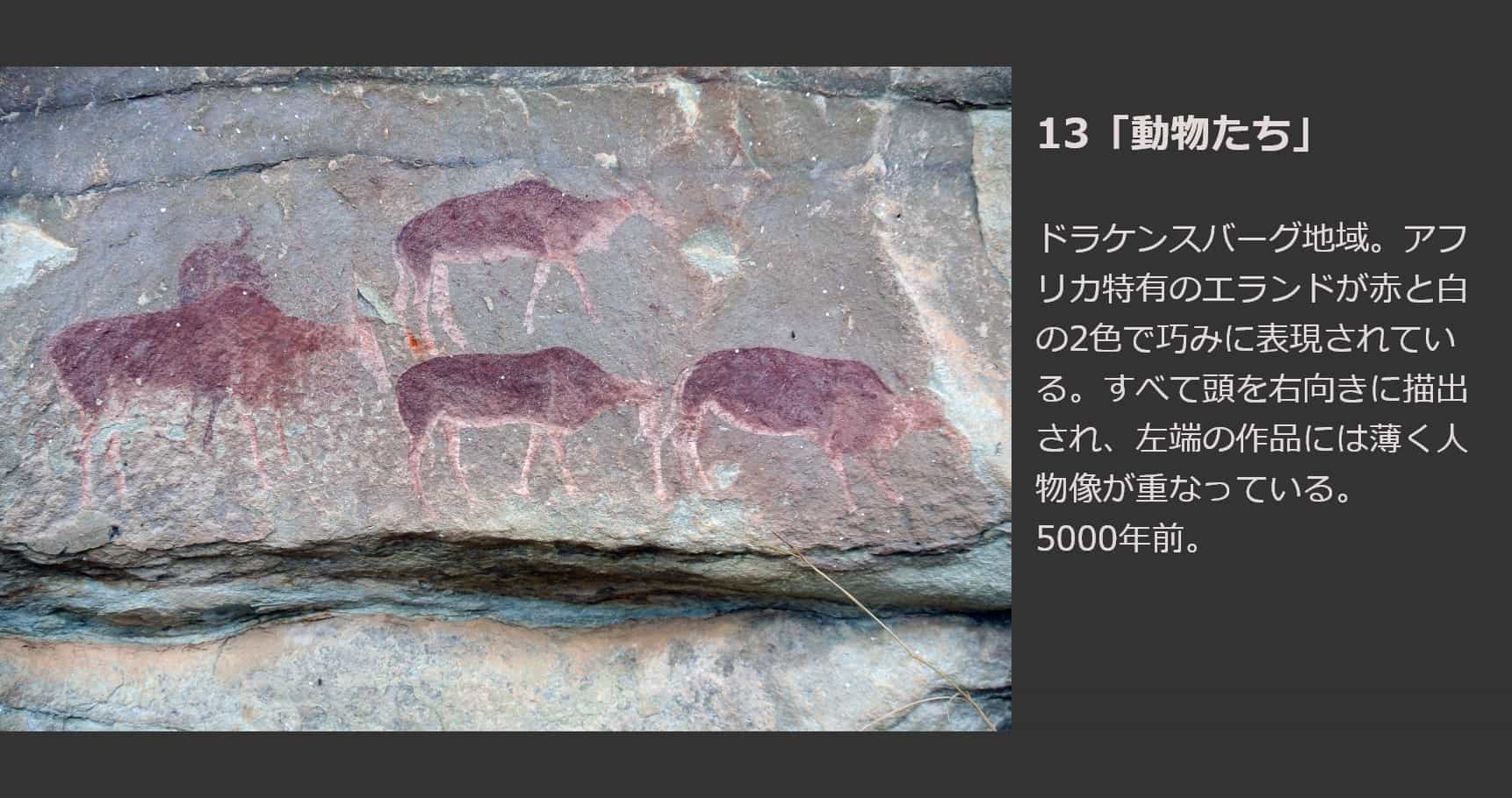 動物たち