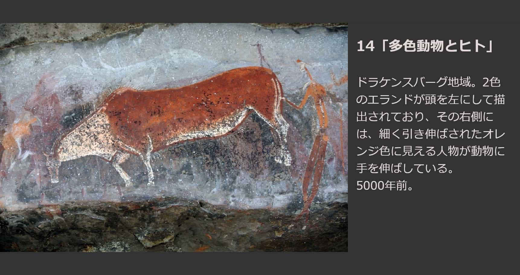 多色動物とヒト