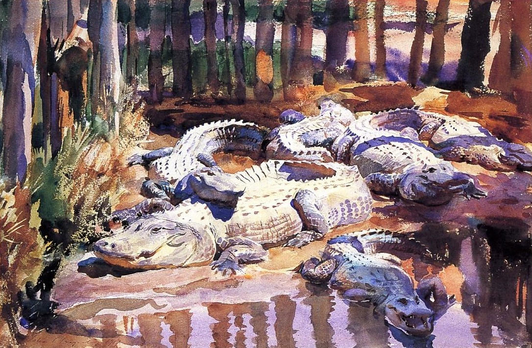 泥地のワニ